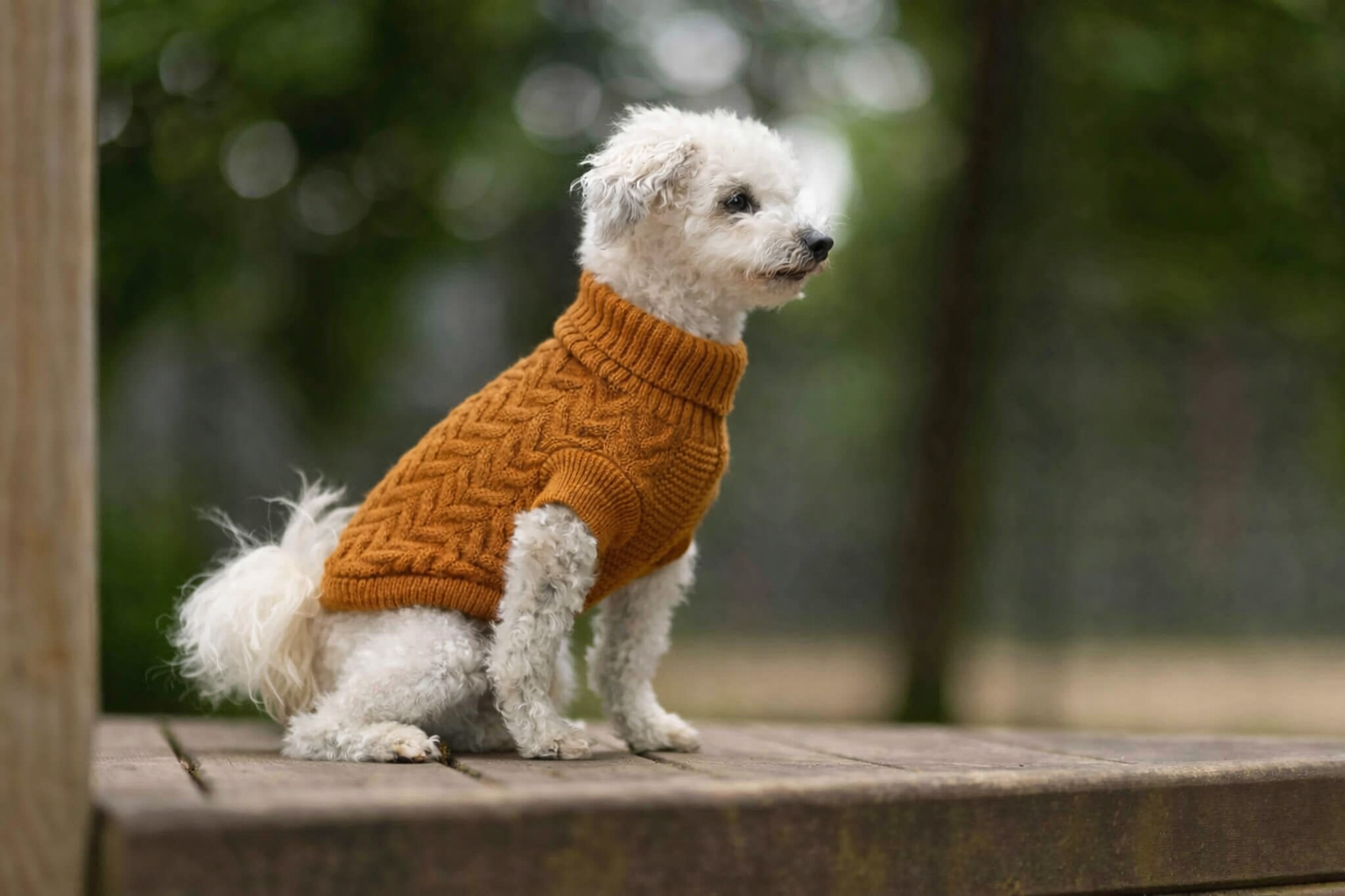 Pulover tricotat pentru caine Isolde WOLTERS, maro caramel